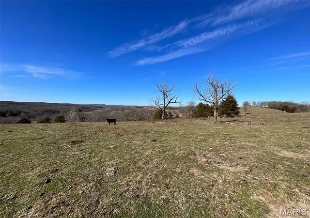 Homes for sale in Thornfield, MO | 594 County Road 873, Thornfield, MO 65762 | MLS# MIS26003918