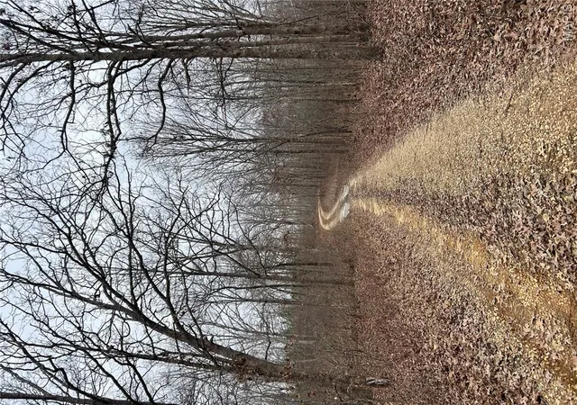 2nd image of Hwy T Forest Road 3697, Poplar Bluff, MO 63901 | MLS# MIS26004076