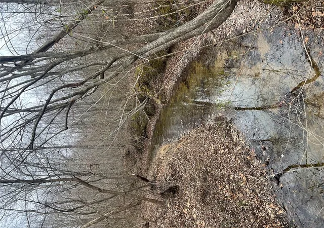 1st image of Hwy T Forest Road 3697, Poplar Bluff, MO 63901 | MLS# MIS26004076