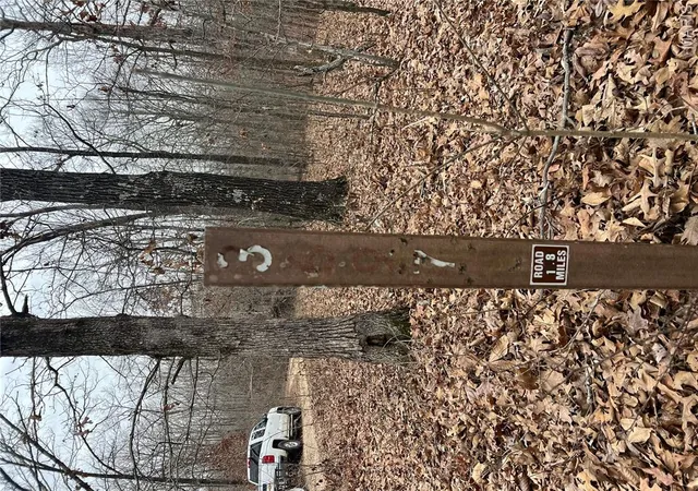 3rd image of Hwy T Forest Road 3697, Poplar Bluff, MO 63901 | MLS# MIS26004076