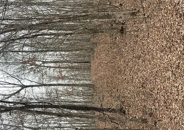 22nd image of Hwy T Forest Road 3697, Poplar Bluff, MO 63901 | MLS# MIS26004076