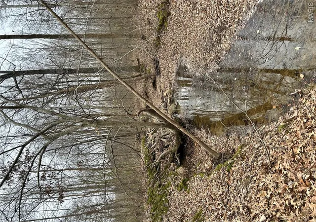 4th image of Hwy T Forest Road 3697, Poplar Bluff, MO 63901 | MLS# MIS26004076