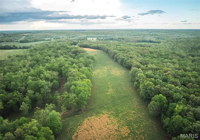 4th image of 0 Hwy T, Fredericktown, MO 63645 | MLS# MIS26004088