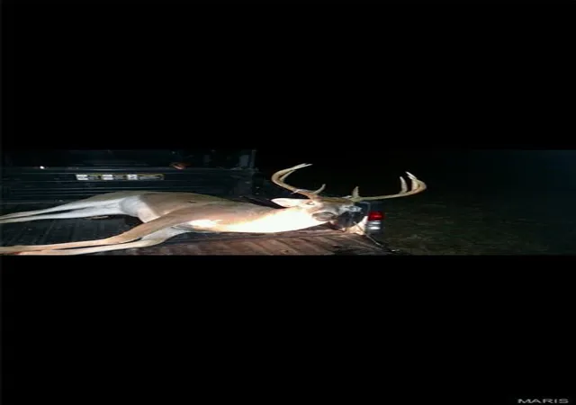 4th image of 6546 Hwy 115, Pocahontas, AR 72455 | MLS# MIS26004174