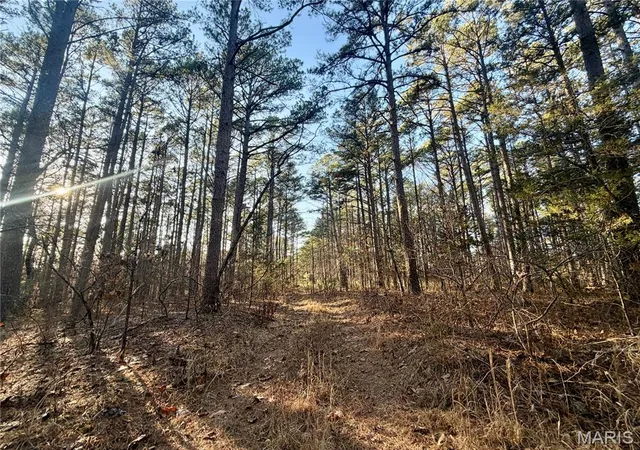 Homes for sale in Salem, MO | 0 County Road 6575, Salem, MO 65560 | MLS# MIS26004255