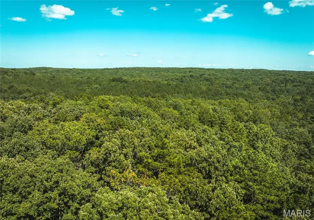 1st image of 000 County Road 5600, Salem, MO 65560 | MLS# MIS26004979