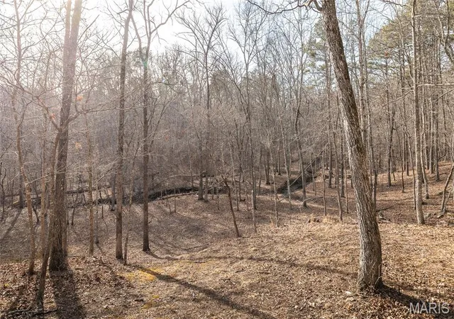 67th image of 000 County Road 5600, Salem, MO 65560 | MLS# MIS26004979