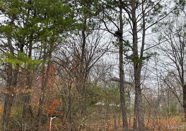 Photo 3 of Land for sale at 410 Orchard St, Williamsville, MO 63967 | MLS# MIS26005205 | Listing updated on 2026-08-18