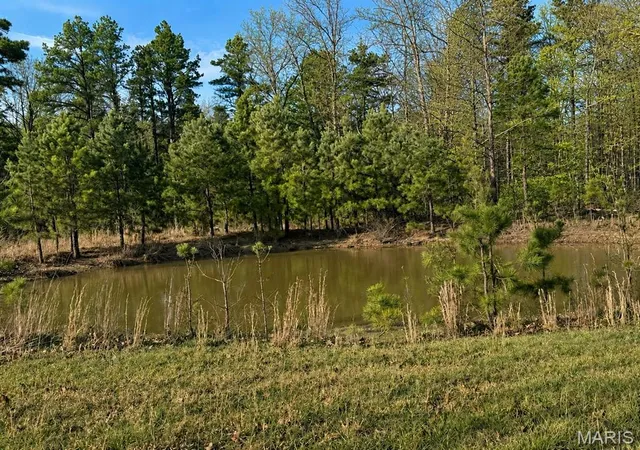Homes for sale in Summersville, MO | 19056 Country Road 427, Summersville, MO 65571 | MLS# MIS26005382