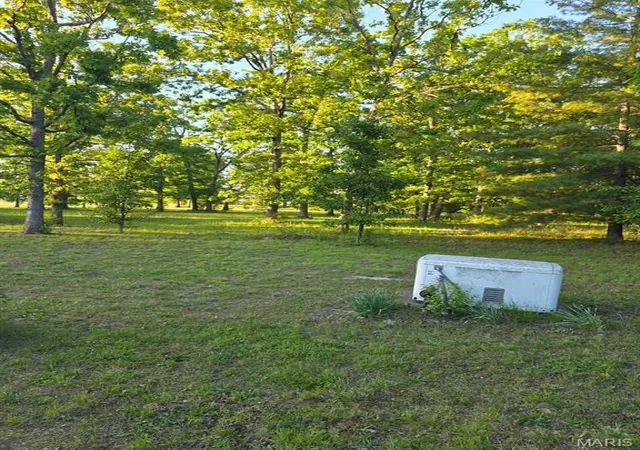 Homes for sale in Salem, MO | 1160 County Road 6150, Salem, MO 65560 | MLS# MIS26005441