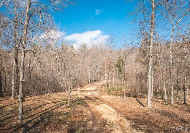 Homes for sale in Annapolis, MO | 760 County Road 203, Annapolis, MO 63620 | MLS# MIS26005700