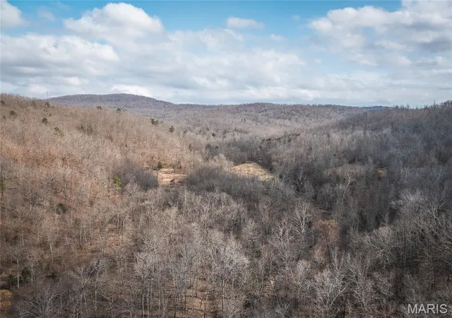 Homes for sale in Annapolis, MO | 760 County Road 203, Annapolis, MO 63620 | MLS# MIS26005700
