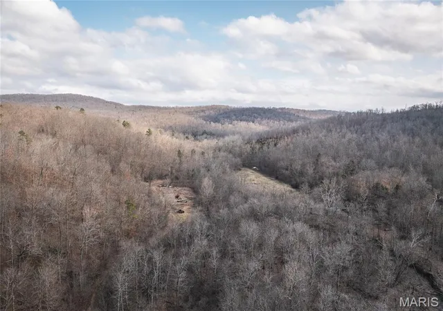Homes for sale in Annapolis, MO | 760 County Road 203, Annapolis, MO 63620 | MLS# MIS26005700