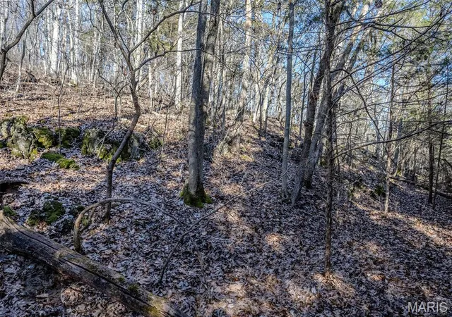 4th image of Tbd Tbd - Possibly Compass Road, Dixon, MO 65459 | MLS# MIS26005766
