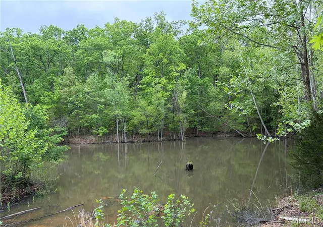 22nd image of 4462 N Virginia Mines Rd, Saint Clair, MO 63077 | MLS# MIS26006147