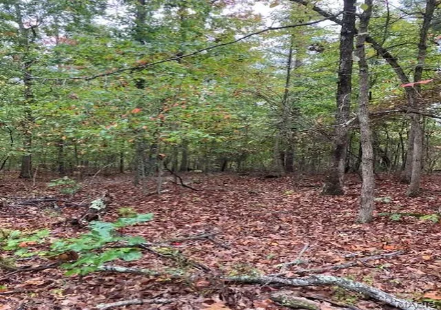 Photo 3 of Land for sale at 195 Madison Cr 410, Fredericktown, MO 63645 | MLS# MIS26006261 | Listing updated on 2026-05-19