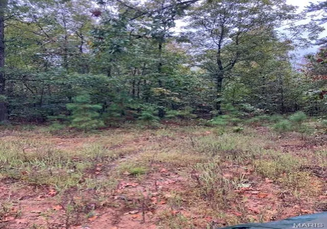 Photo 3 of Land for sale at 195 Madison Cr 410, Fredericktown, MO 63645 | MLS# MIS26006261 | Listing updated on 2026-05-19