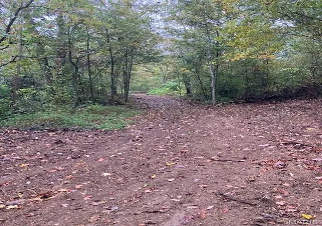 Photo 3 of Land for sale at 196 Madison Cr 410, Fredericktown, MO 63645 | MLS# MIS26006281 | Listing updated on 2026-02-05