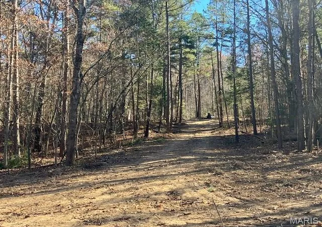 Photo 3 of Land for sale at 198 Madison Cr 410, Fredericktown, MO 63645 | MLS# MIS26006659 | Listing updated on 2026-02-07