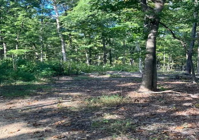 Photo 4 of Land for sale at 198 Madison Cr 410, Fredericktown, MO 63645 | MLS# MIS26006659 | Listing updated on 2026-02-07