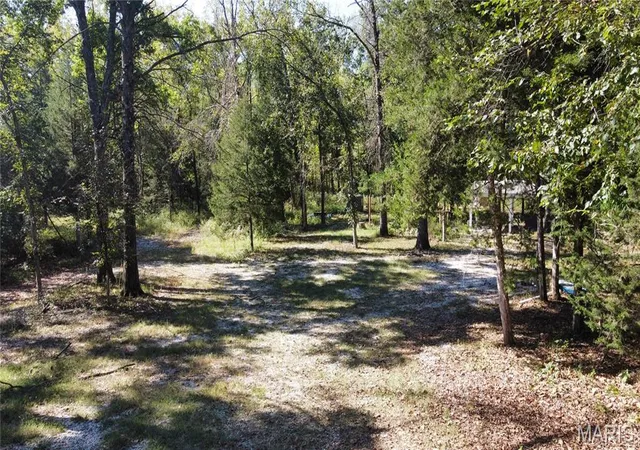 Photo 5 of Land at 44705 Willow Lane, Monroe City, MO 63456 | MLS# MIS26006819 | | Sold on 2026-03-27