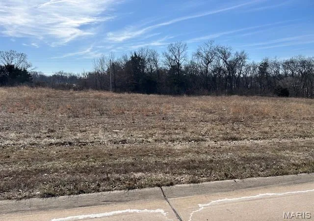 1st image of 173 Acres Main Plaza Dr, Wentzville, MO 63385 | MLS# MIS26006877