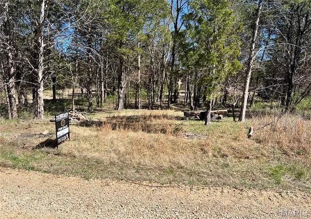 Homes for sale in Bonne Terre, MO | 0 Camille Ct, Bonne Terre, MO 63628 | MLS# MIS26006918