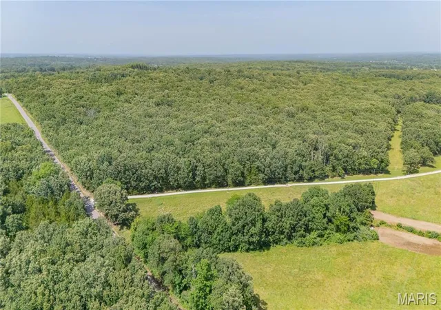 Homes for sale in Rolla, MO | 0 County Road 2190, Rolla, MO 65401 | MLS# MIS26007034