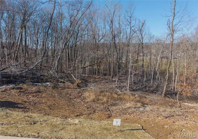 Homes for sale in Jackson, MO | Lot 1 Heritage Farm Ln, Jackson, MO 63755 | MLS# MIS26007371