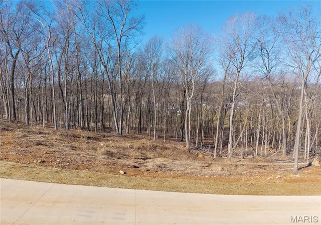 Homes for sale in Jackson, MO | Lot 2 Heritage Farm Ln, Jackson, MO 63755 | MLS# MIS26007375