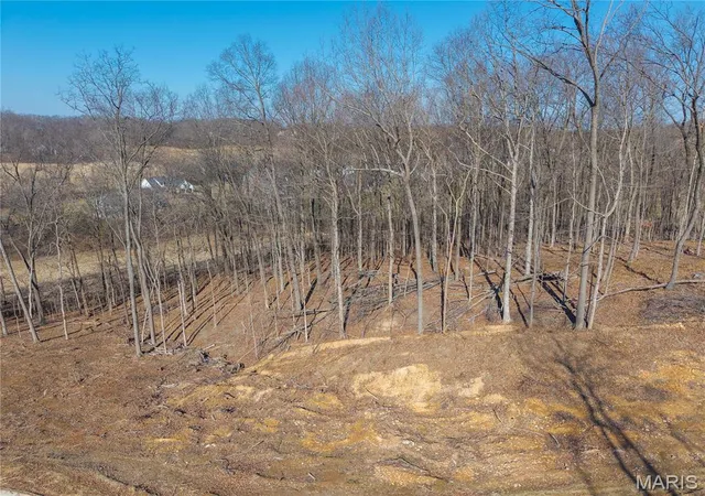 Homes for sale in Jackson, MO | Lot 3 Heritage Farm Ln, Jackson, MO 63755 | MLS# MIS26007422