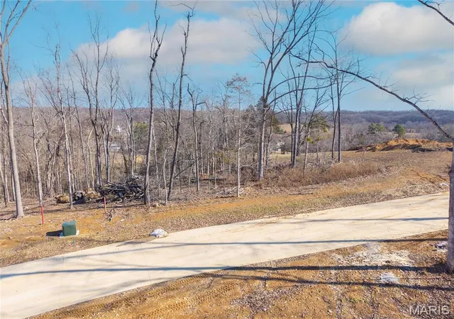 Homes for sale in Jackson, MO | Lot 11 Heritage Farm Ln, Jackson, MO 63755 | MLS# MIS26007447