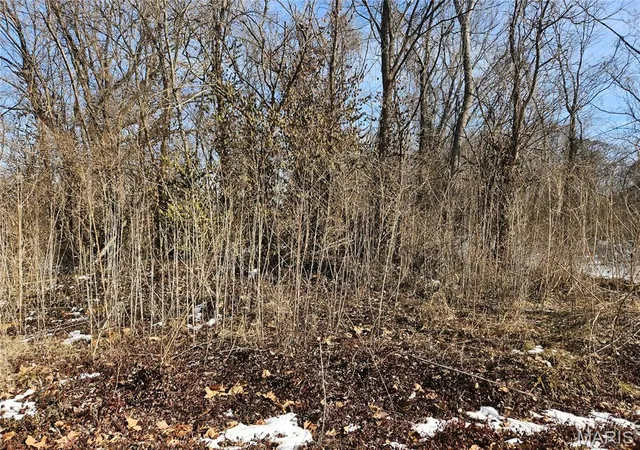 Photo 1 of Land for sale at 1926 N 60th St, East Saint Louis, IL 62204 | MLS# MIS26007609 | Listing updated on 2026-06-07