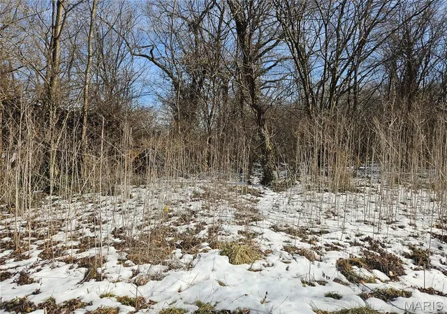 Photo 2 of Land for sale at 1926 N 60th St, East Saint Louis, IL 62204 | MLS# MIS26007609 | Listing updated on 2026-06-07