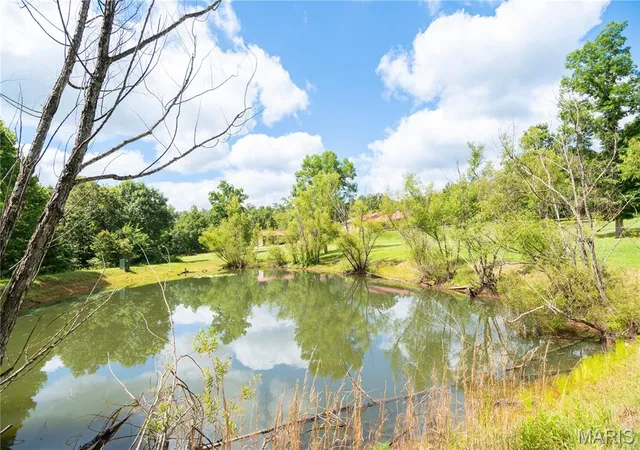 3rd image of 698 Hoot Owl Ln, Grandin, MO 63943 | MLS# MIS26007612