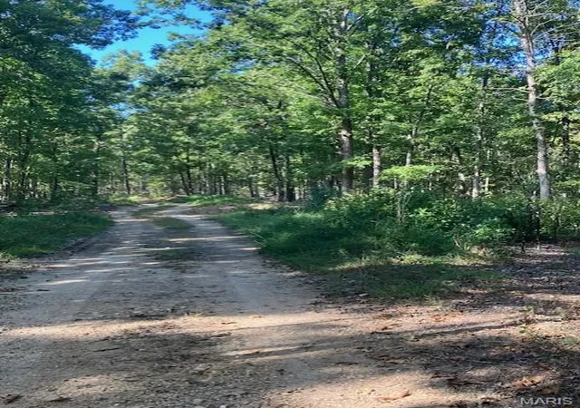 Homes for sale in Fredericktown, MO | 199 Madison Cr 410, Fredericktown, MO 63645 | MLS# MIS26007635
