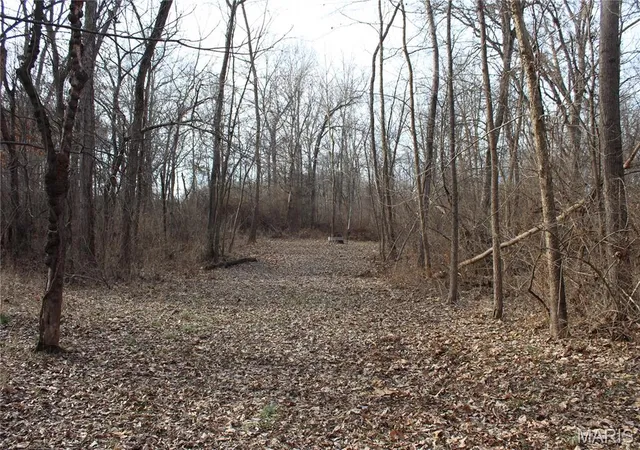 4th image of 00 Hwy 40 61 #61, Wentzville, MO 63385 | MLS# MIS26007850