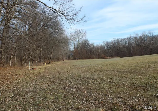 5th image of 00 Hwy 40 61 #61, Wentzville, MO 63385 | MLS# MIS26007850