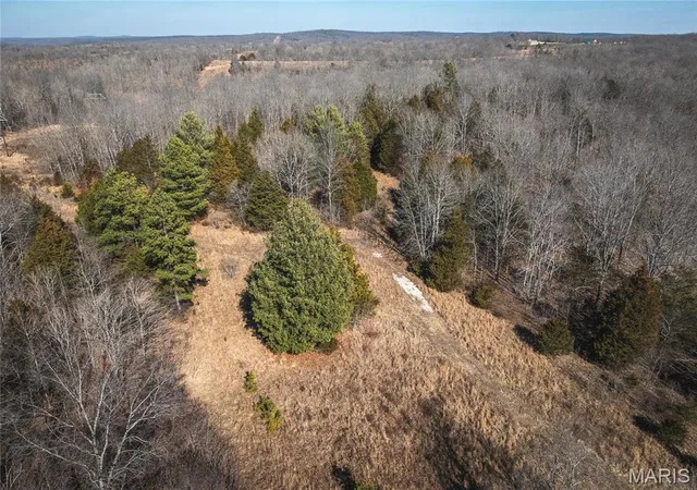 3rd image of 0 Hwy C, Courtois, MO 65565 | MLS# MIS26008587