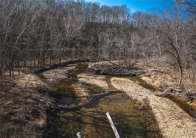 14th image of 000 Hwy C Tract 1, Courtois, MO 65565 | MLS# MIS26008595