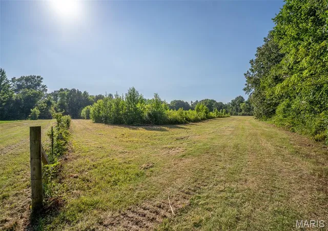 4th image of 0 County Road 532 Tract 2, Williamsville, MO 63967 | MLS# MIS26009063