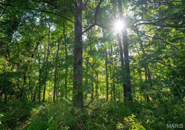 5th image of 0 County Road 532 Tract 2, Williamsville, MO 63967 | MLS# MIS26009063