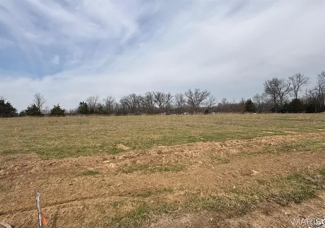 Photo 2 of Land for sale at 9 Berry Pl, Monroe City, MO 63456 | MLS# MIS26009327 | Listing updated on 2026-09-15
