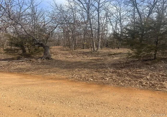 Homes for sale in St James, MO | 0 Maries County 447 Rd, St James, MO 65559 | MLS# MIS26009762