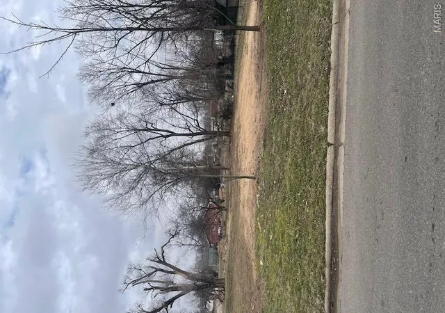 Photo 3 of Land for sale at 315 Jackson St, Sikeston, MO 63801 | MLS# MIS26009789 | Listing updated on 2026-09-02