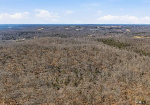 5th image of 0 Hill Side Dr, De Soto, MO 63020 | MLS# MIS26009917