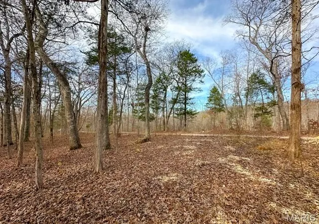 Homes for sale in Dittmer, MO | 8490 Hickory Ln   Ethan's Landing Lot C 3 Acres, Dittmer, MO 63023 | MLS# MIS26009923