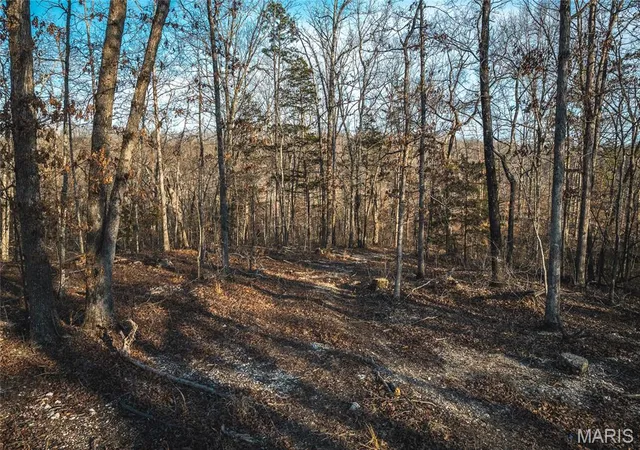 5th image of 000 County Road 19-208 Tract 1, Eminence, MO 65546 | MLS# MIS26010126
