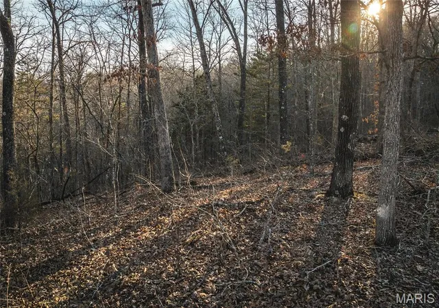 Homes for sale in Eminence, MO | 000 County Road 19-208 Tract 1, Eminence, MO 65546 | MLS# MIS26010126