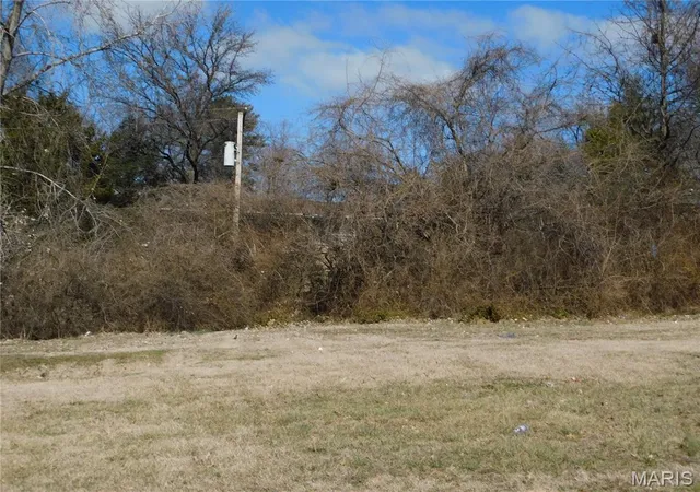 2nd image of 3171 Somerset Green Ct, Saint Louis, MO 63136 | MLS# MIS26010128